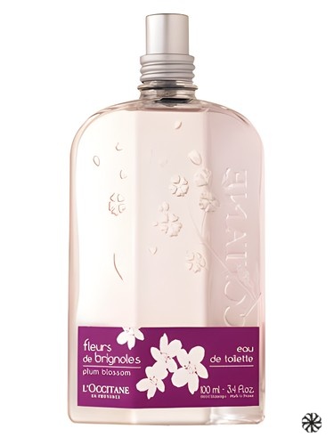 Fleurs de Brignoles (Plum Blossom) L'Occitane en Provence