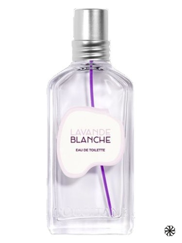 Lavande Blanche L'Occitane en Provence
