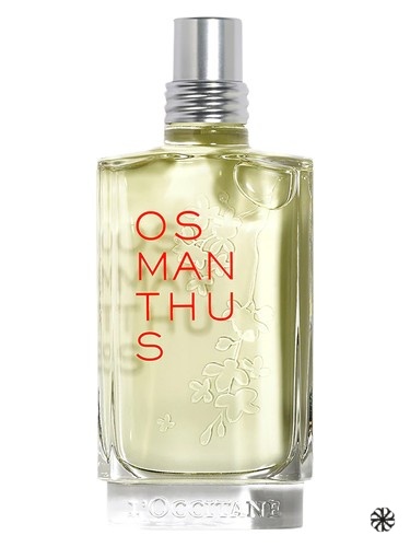 Osmanthus L'Occitane en Provence