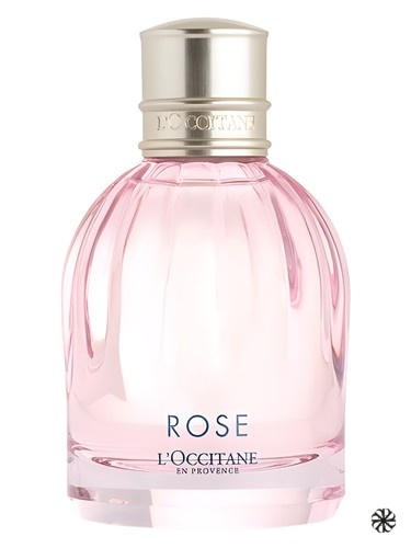 Rose L'Occitane en Provence