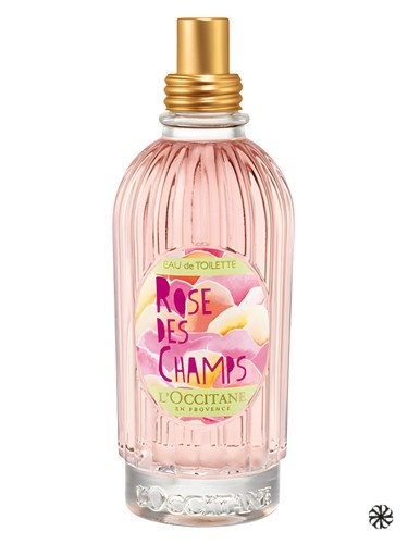 Rose des Champs L'Occitane en Provence