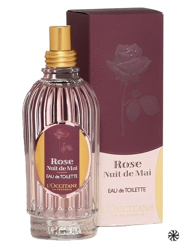 Rose Nuit de Mai L'Occitane en Provence