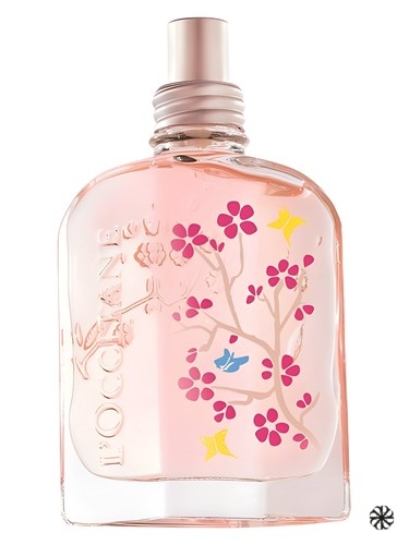 Cerisier Papillon L'Occitane en Provence