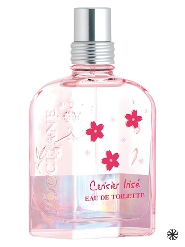 Cerisier Irise L'Occitane en Provence
