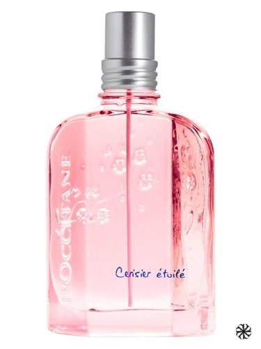 Cerisier Etoile L'Occitane en Provence