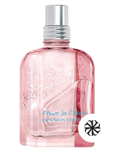 Fleurs de Cerisier Infusion Fruitée L'Occitane en Provence