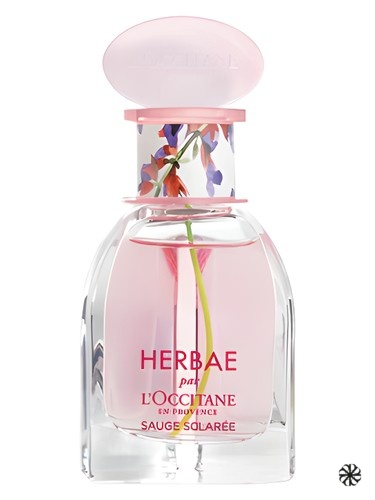 Herbae Clary Sage L'Occitane en Provence