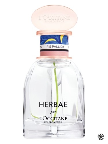 Herbae Iris Pallida L'Occitane en Provence