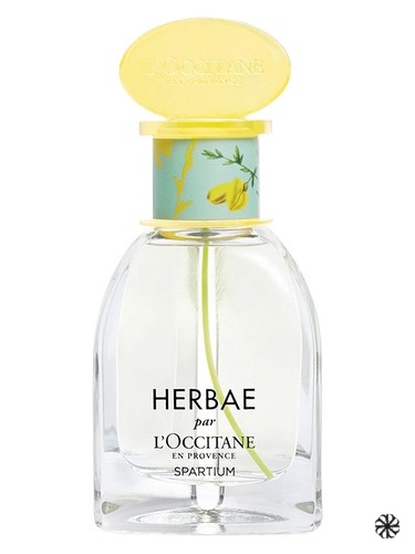 Herbae Spartium L'Occitane en Provence