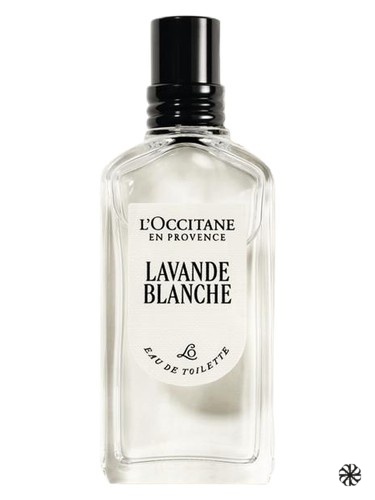 Lavande Blanche Eau de Toilette L'Occitane en Provence
