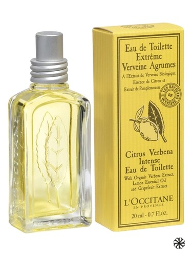 Citrus Verbena Intense L'Occitane en Provence