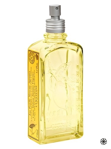Citrus Verbena Summer L'Occitane en Provence