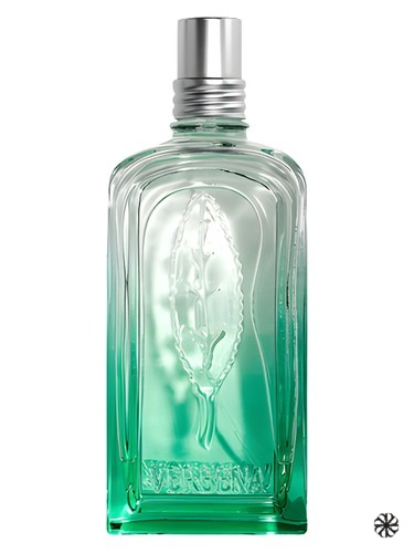 Verveine 2020 L'Occitane en Provence