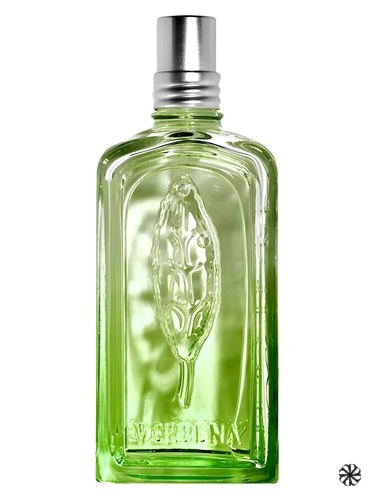 Verveine Cactus L'Occitane en Provence