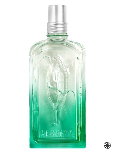 Verveine Fleur de Carotte L'Occitane en Provence