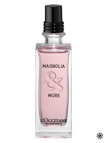 Magnolia & Mure L'Occitane en Provence