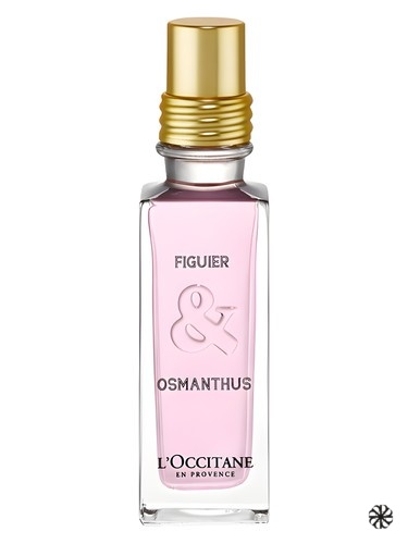 Figuier & Osmanthus L'Occitane en Provence