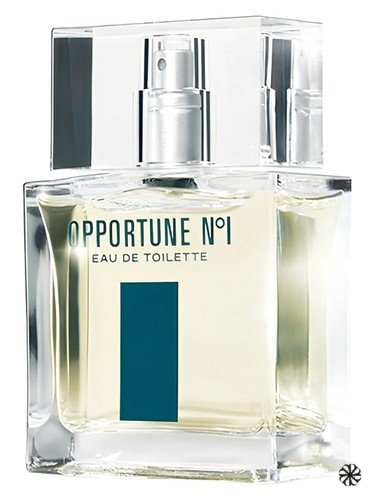 Opportune No1 Amway