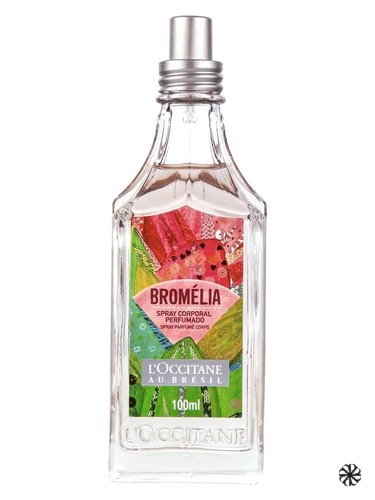 Bromélia L’Occitane Au Brésil