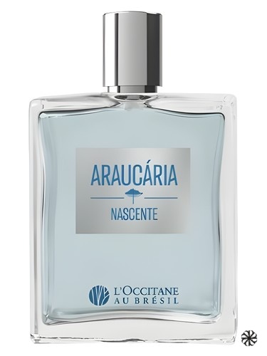 Araucária Nascente L’Occitane Au Brésil