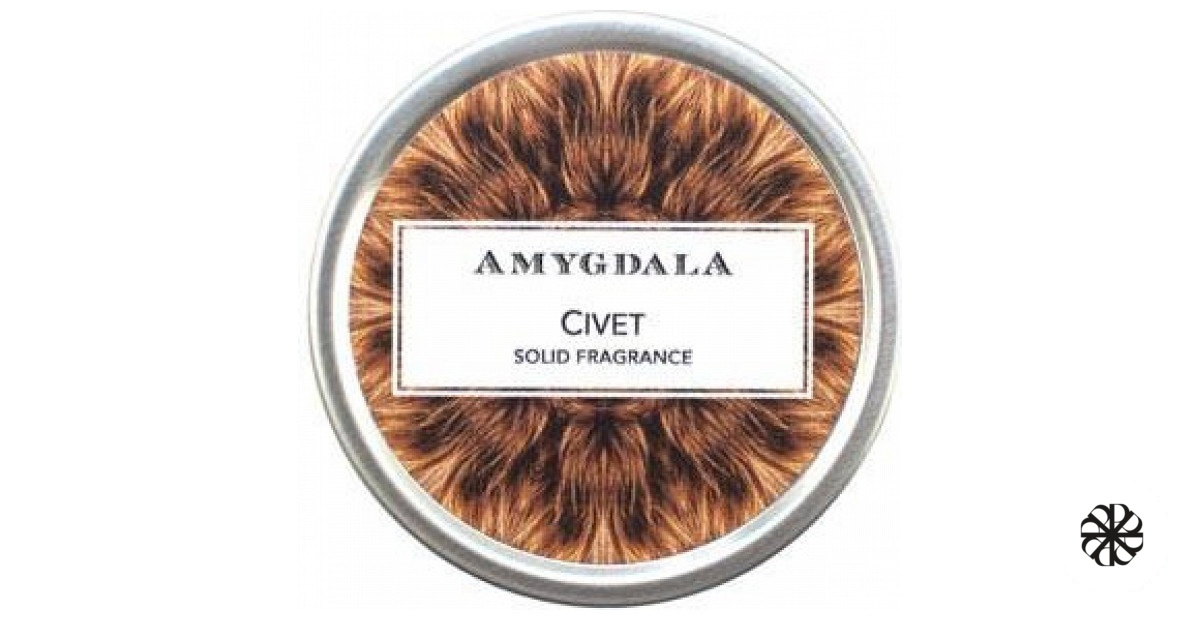 Civet Amygdala