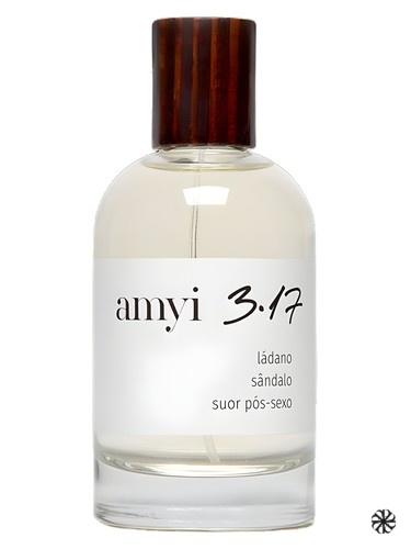 Amyi 3.17 Amyi
