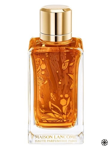 Oud Ambroisie Lancôme