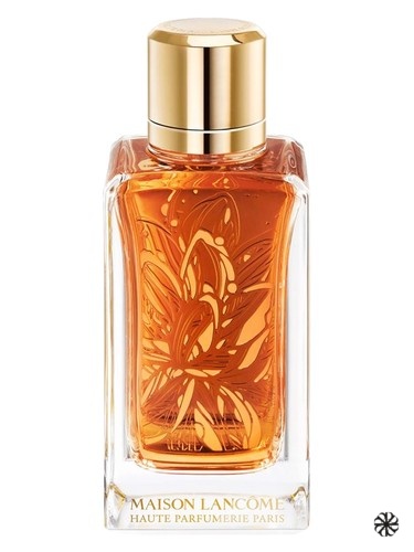 Tubéreuses Castane Lancôme