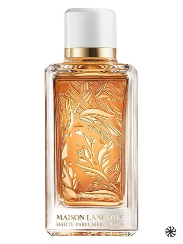 Santal Kardamon Lancôme