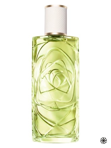 Ôff Now Lancôme