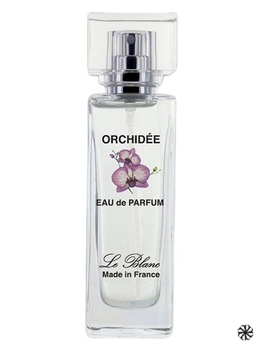 Orchidée Le Blanc