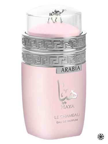 Arabia Haya Le Chameau