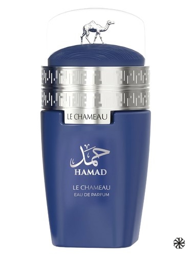 Arabia Hamad Le Chameau