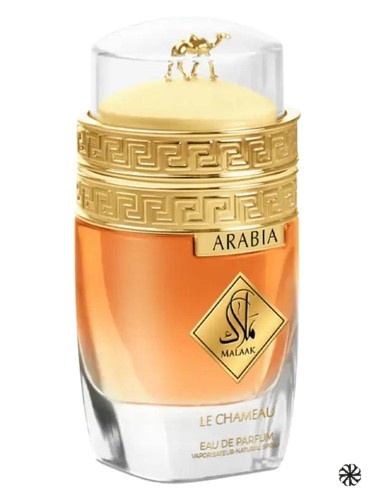 Arabia Malaak Le Chameau