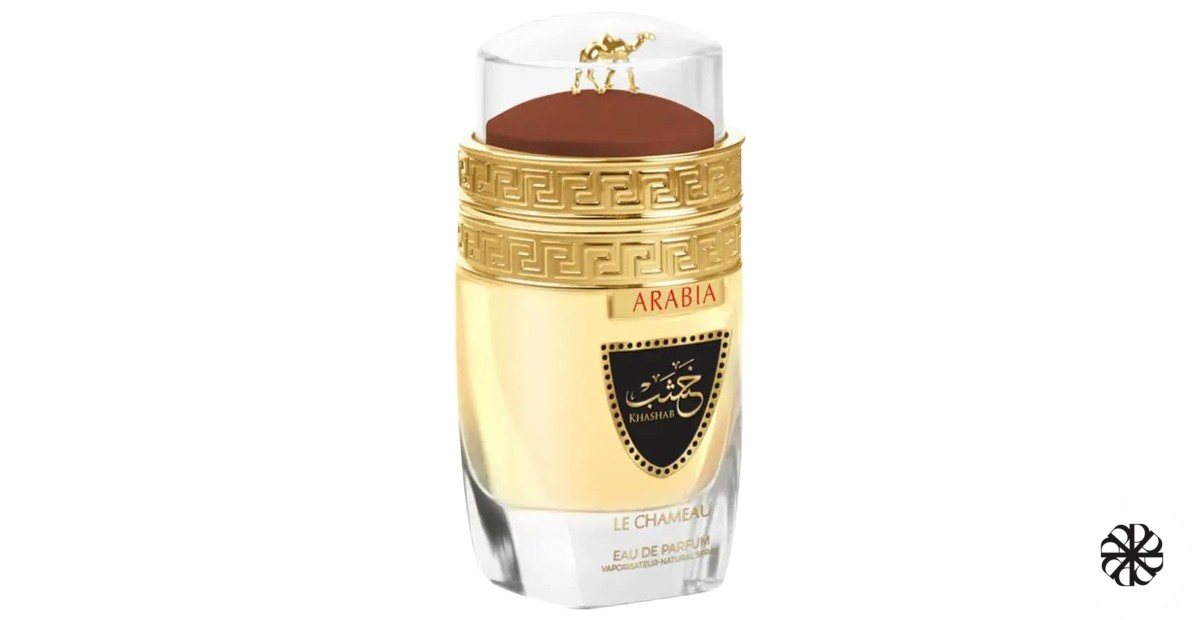 Arabia Khashab Le Chameau