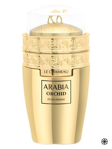 Arabia Orchid Le Chameau