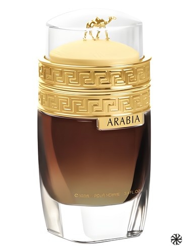 Arabia Pour Homme Le Chameau