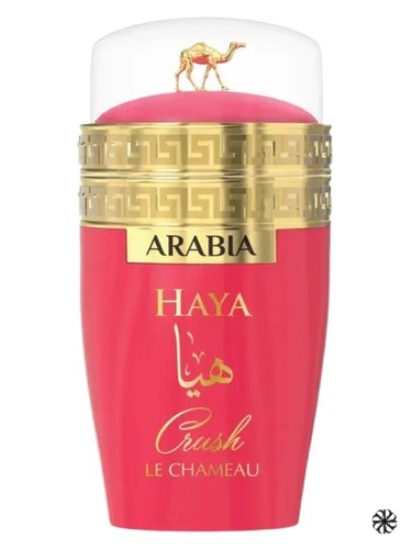 Arabia Haya Crush Le Chameau