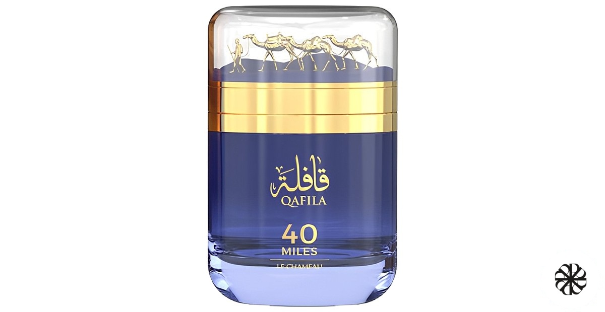 Qafila 40 Miles Le Chameau