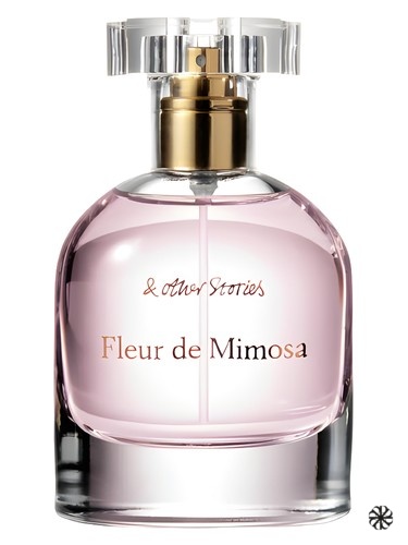 Fleur de Mimosa And Other Stories