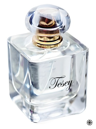 Tesey Les Contes