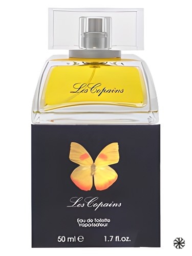 Papillon Les Copains