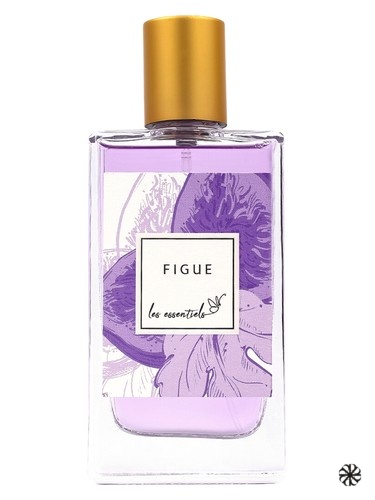 Figue Les Essentiels