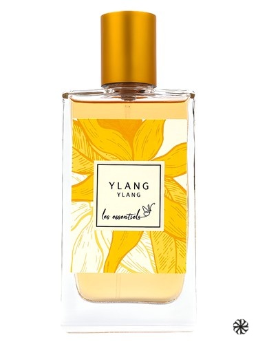 Ylang Ylang Les Essentiels