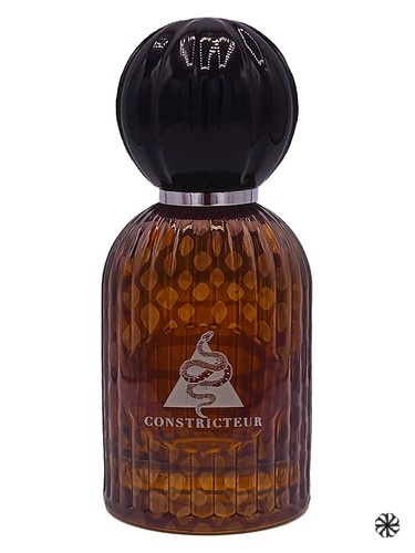 Constricteur Les Folies Du Parfum