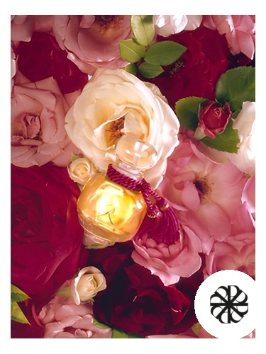 La Rose Legere Les Parfums de Rosine