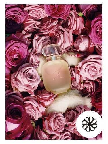Une Folie de Rose Les Parfums de Rosine