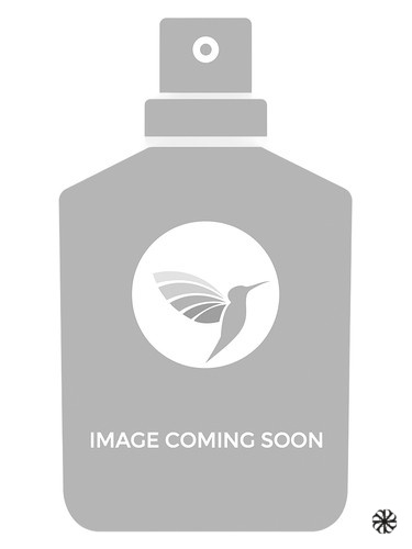 Intence Note Elegance Lessar London