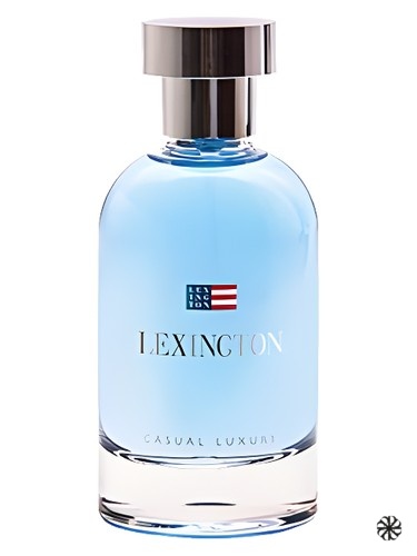 Casual Luxury Man Lexington