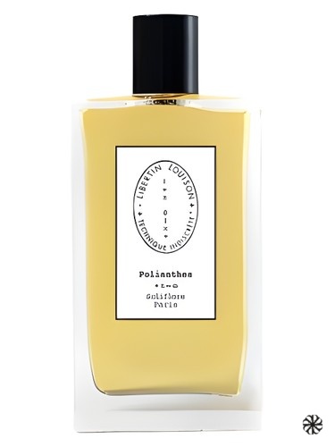 Polianthes Libertin Louison Technique Indiscrete